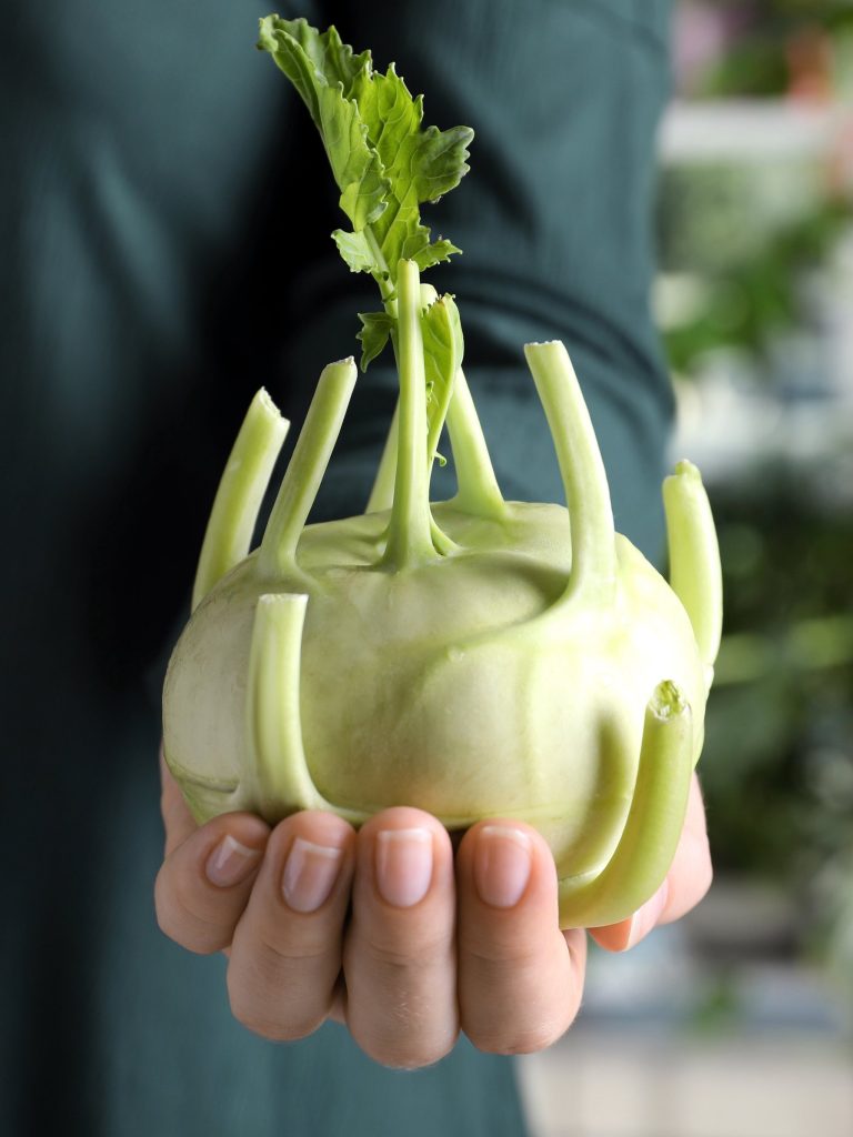 Woman with ripe kohlrabi plant outdoors, closeup